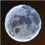 Familier : Luna